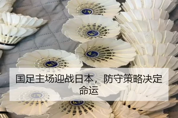 guo-zu-zhu-chang-ying-zhan-ri-ben-fang-shou-ce-lve-jue-ding-ming-yun-3-196.jpg
