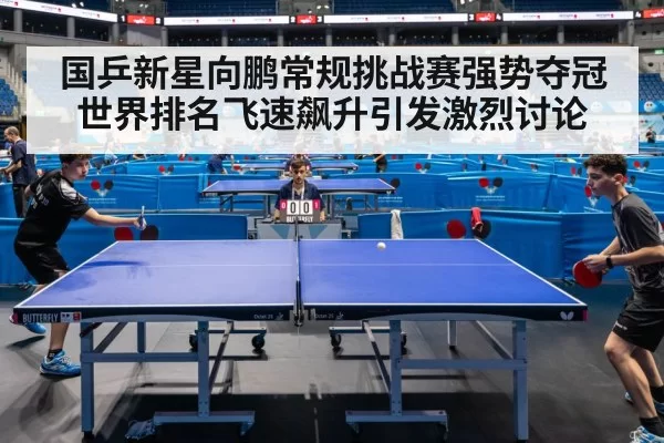 ping pong match