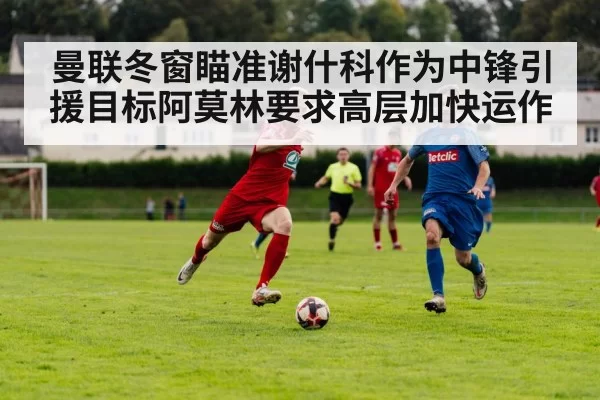 曼联冬窗瞄准谢什科作为中锋引援目标阿莫林要求高层加快运作